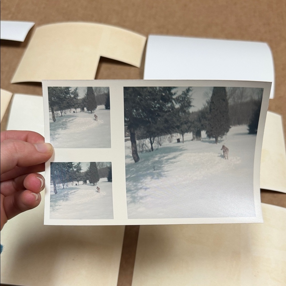 Vintage Photo Collection - Picture 10 of 11